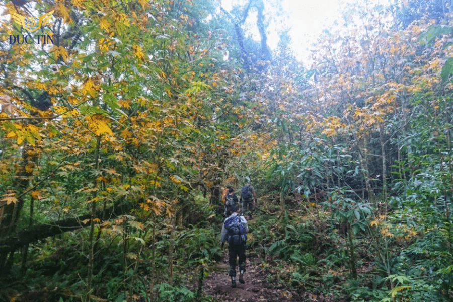 Trekking là gì chỉ hoạt động đi bộ trên những địa hình phức tạp gồ ghề và không có lối mòn